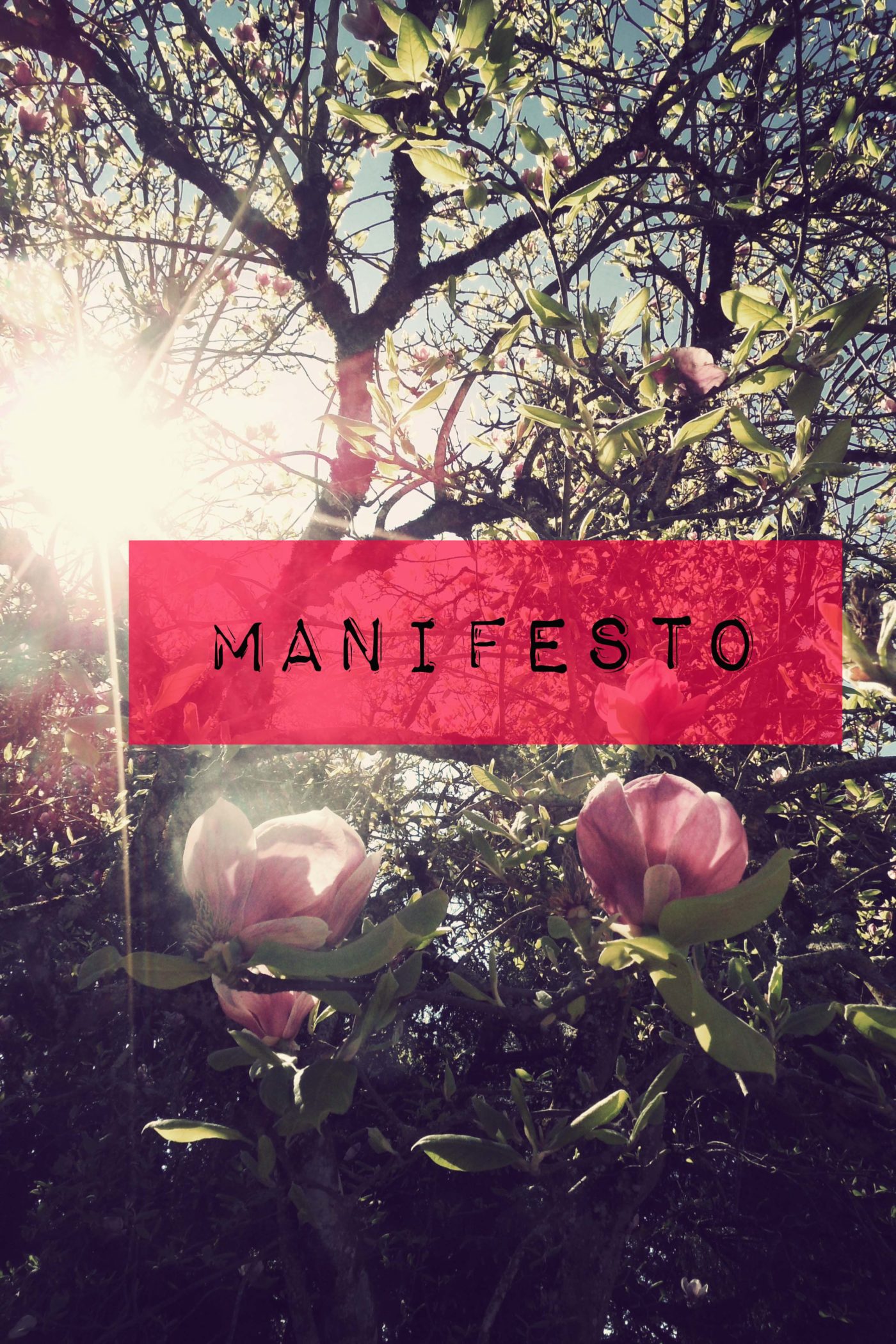 MANIFESTO